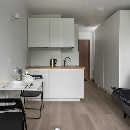 Nordic In Prime Location Butas *